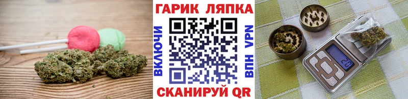 Cannafood конопля  где купить   Краснослободск 