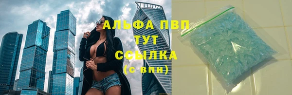 стаф Протвино