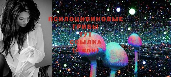 jwh Белокуриха