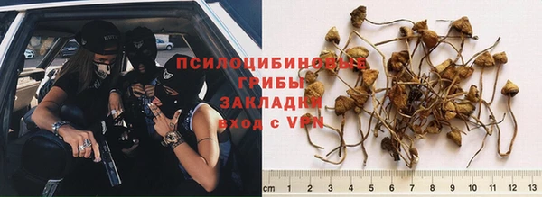 молекула духа Беломорск