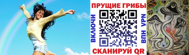 Псилоцибиновые грибы Cubensis  Краснослободск 